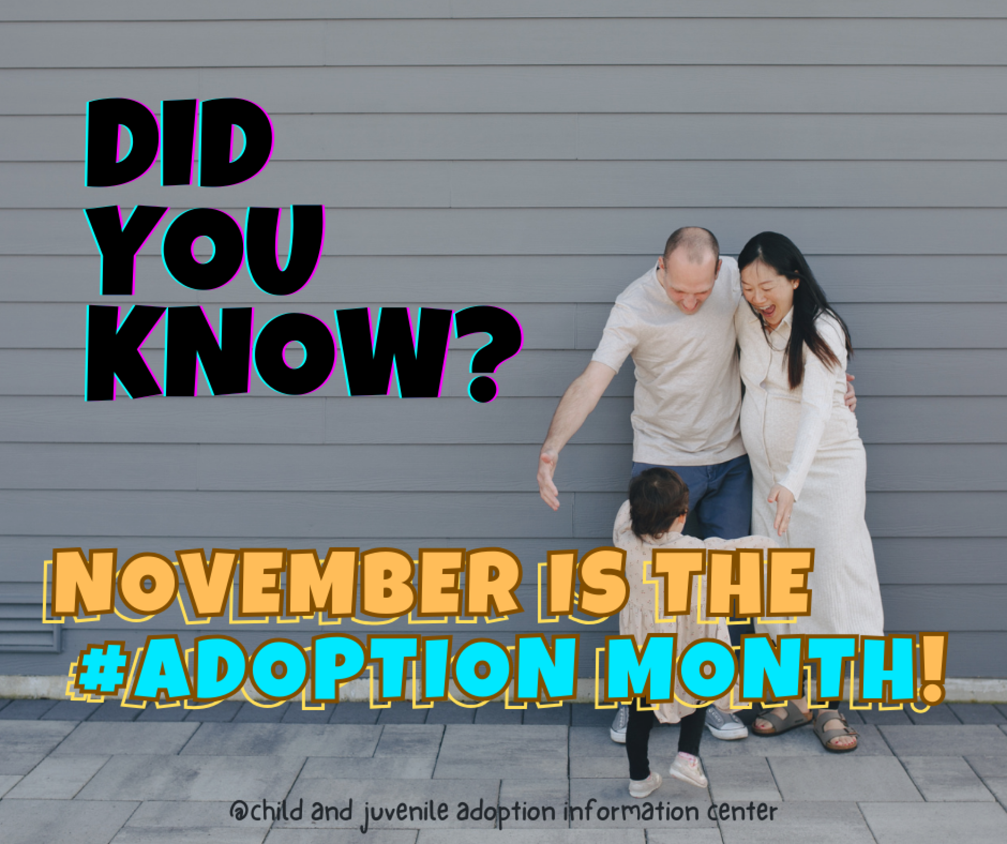It's November and it's the Adoption Month!